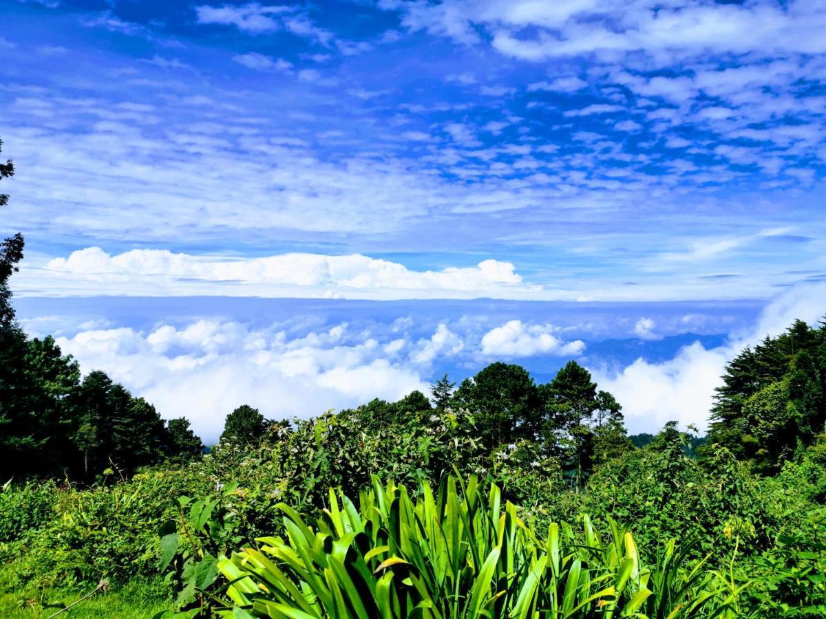 El Pital Ecolodge San Ignacio Luaran gambar