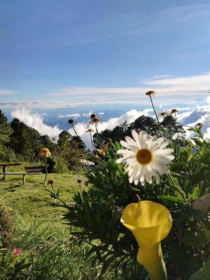El Pital Ecolodge San Ignacio Luaran gambar
