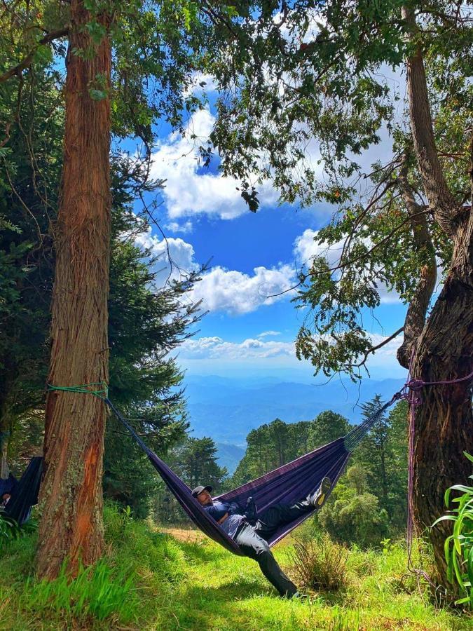 El Pital Ecolodge San Ignacio Luaran gambar