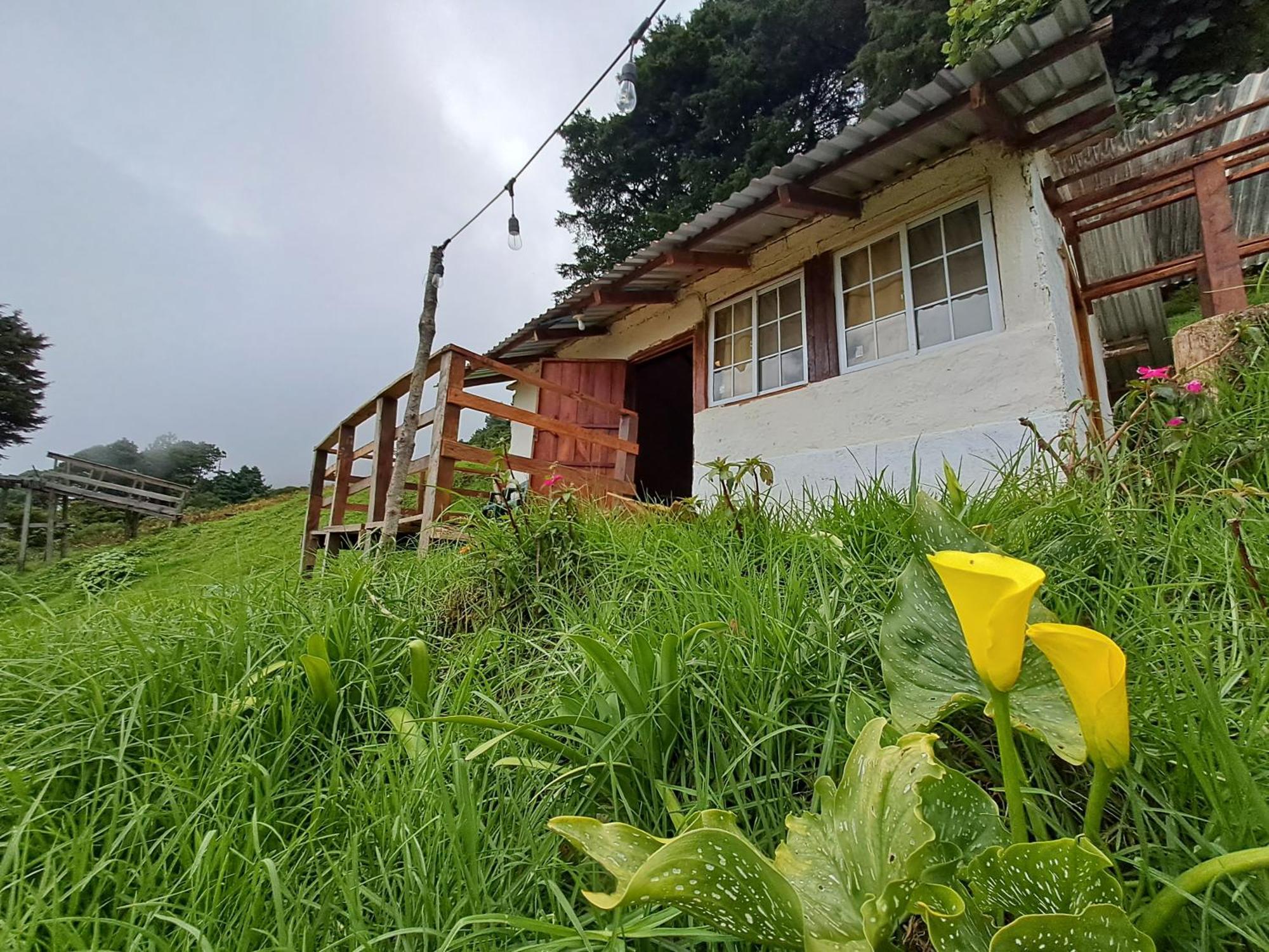 El Pital Ecolodge San Ignacio Luaran gambar